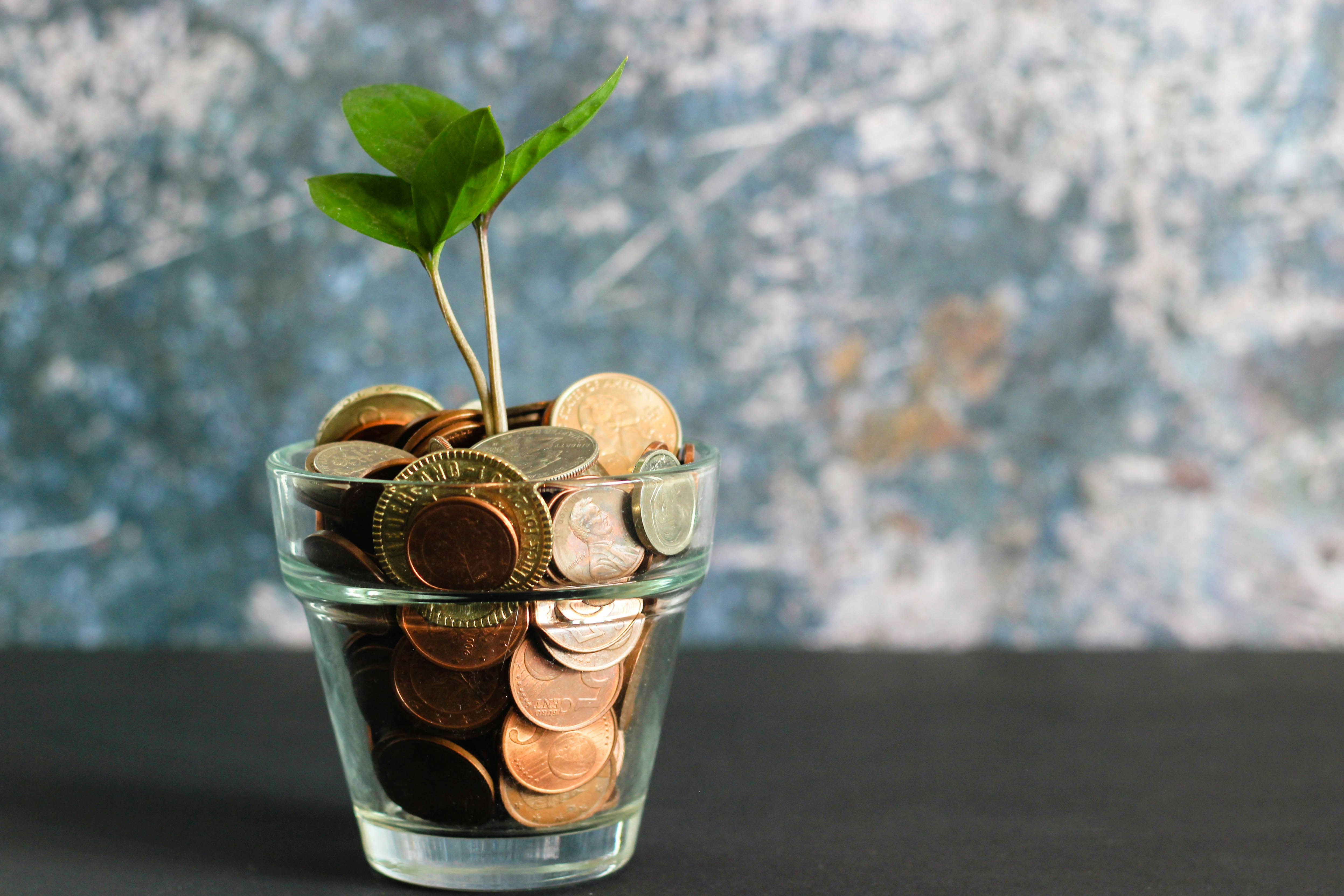 Financieel rendement met een positieve impact